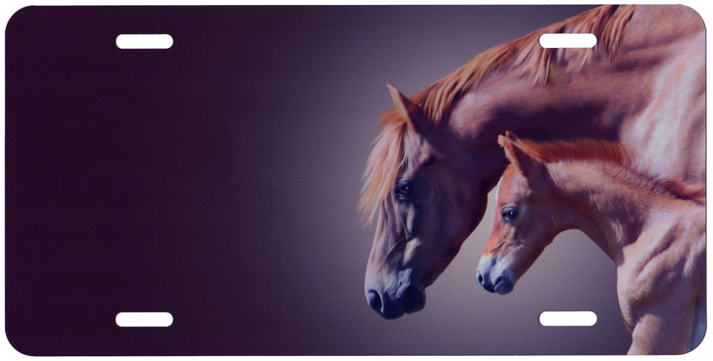 Mare and Colt Auto Tag