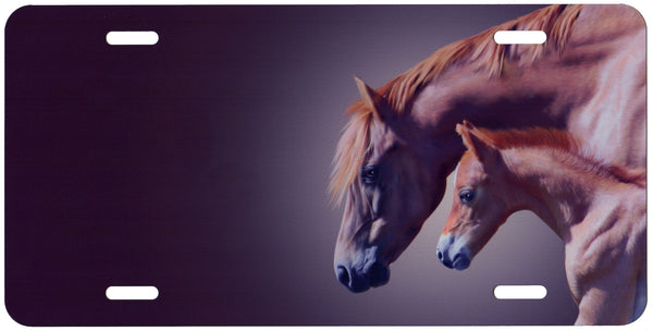 Mare and Colt Auto Tag