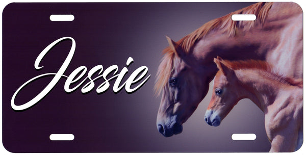 Mare and Colt Auto Tag