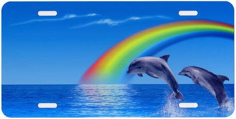 Dolphin Rainbow Auto Tag
