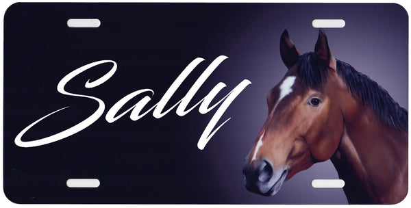 Bay Thoroughbred House Auto Tag